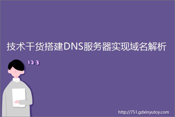 技术干货搭建DNS服务器实现域名解析